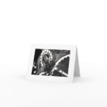 Carousel 2 Notecard