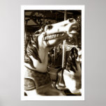 Carousel 6 Print