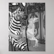 Carousel at the Audubon Zoo New Orleans, Louisiana Poster