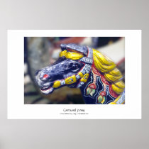 Carousel pony print