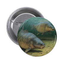 Carp Fishing Two Carp Button