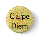 Carpe Diem buttons