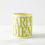 Carpe Diem Latin Quote Mug