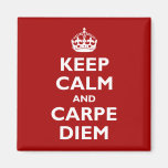 Carpe Diem! Refrigerator Magnet