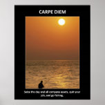 carpe-diem-seize-the-day-and-all-company-assets poster
