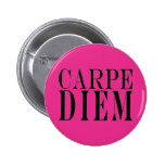 Carpe Diem Seize the Day Latin Quote Happiness
