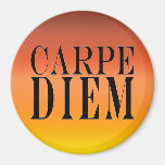 Carpe Diem Seize the Day Latin Quote Happiness Fridge Magnets