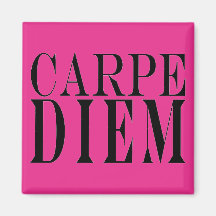 Carpe Diem Seize the Day Latin Quote Happiness Fridge Magnets