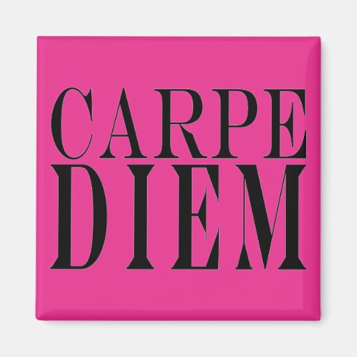 Carpe Diem Seize the Day Latin Quote Happiness Fridge Magnets
