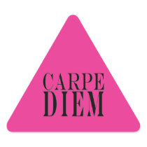 Carpe Diem Seize the Day Latin Quote Happiness Stickers
