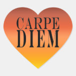 Carpe Diem Seize the Day Latin Quote Happiness Sticker