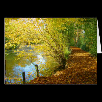 Carpet of Leaves cards