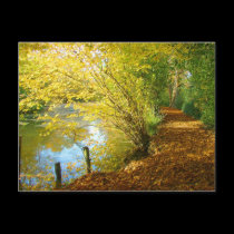 Carpet of Leaves postcards