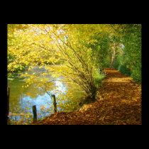 Carpet of Leaves Poster posters