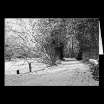 carpet of snow cards