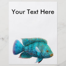 Carpintis Texas Cichlid Flyer