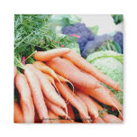 Carrot Magnet