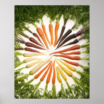 Carrot poster