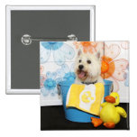Carson - West Highland Terrier -6 Button