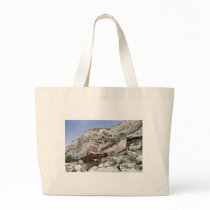 carstone and red chalk cliffs bags