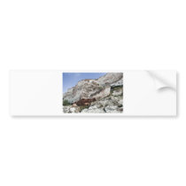 carstone and red chalk cliffs bumper stickers