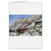 carstone and red chalk cliffs cards