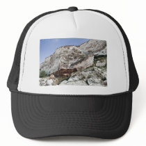 carstone and red chalk cliffs hat