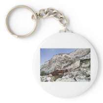 carstone and red chalk cliffs key chain