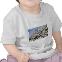 carstone and red chalk cliffs t shirts