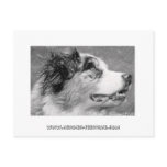 Carte Postal "Ermione" postcards
