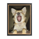 Carte postale chien chihuahua humour postcards