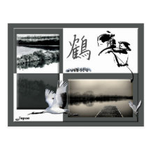 Carte postale grue oiseau