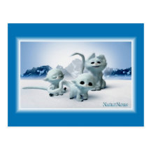 carte postale neige