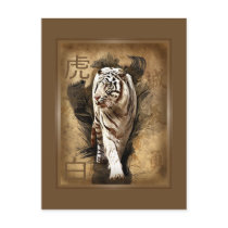 Carte postale tigre blanc