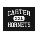 carter - hornets - high - Knoxville Tennessee postcards