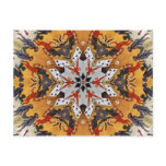 Carter the Great Kaleidoscope Postcards