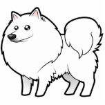 Cartoon American Eskimo Dog / German Spitz photo sculptures