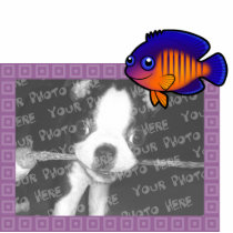 Cartoon Angelfish 1