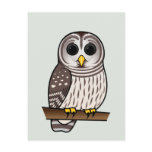 Cartoon Barred Owl Postcard