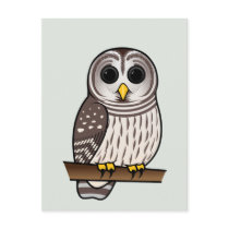 Cartoon Barred Owl Postcard