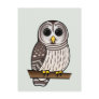 Cartoon Barred Owl Postcard