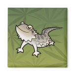 Cartoon Bearded Dragon / Rankin Dragon