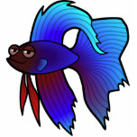Cartoon Betta Fish / Siamese Fighting Fish photo sculptures
