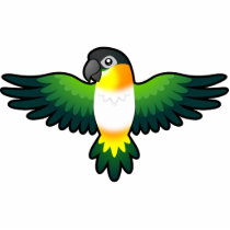 Cartoon Caique / Lovebird / Pionus / Parrot