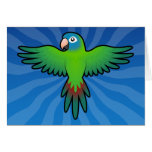 Cartoon Conure / Lorikeet / Parrot Cards