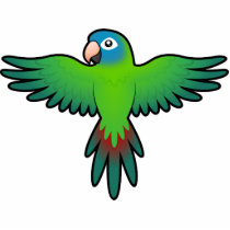 Cartoon Conure / Lorikeet / Parrot