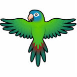 Cartoon Conure / Lorikeet / Parrot photo sculptures