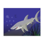 Cartoon Great White Shark Postcard