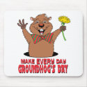 Cartoon Groundhog mousepads