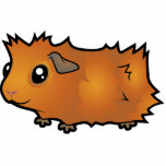 Cartoon Guinea Pig (scruffy) photo sculptures